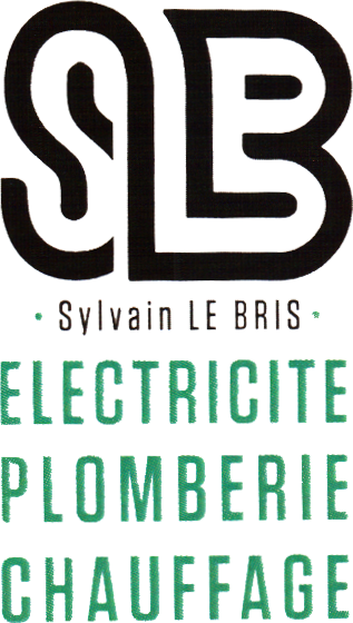 Logo Sylvain Le Bris